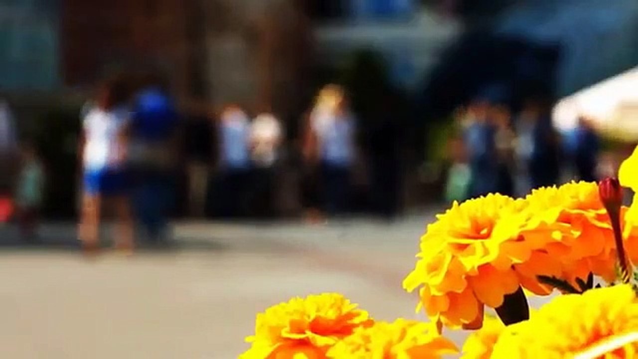 A vendre - Appartement - SAVIGNY-SUR-ORGE (91600) - 3 pièces - 67m²