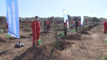 KAHRAMANMARAŞ - Tayvan-Türkiye Dostluk Hatıra Ormanı'na 30 bin fidan dikildi
