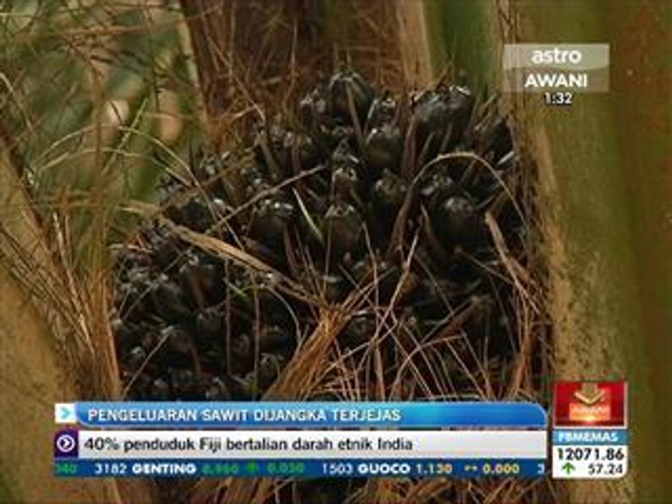 Pengeluaran sawit dijangka terjejas