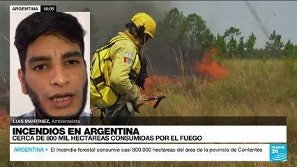 Luis Martínez: "Se tomaron medidas tardías para combatir el incendio forestal en Argentina"