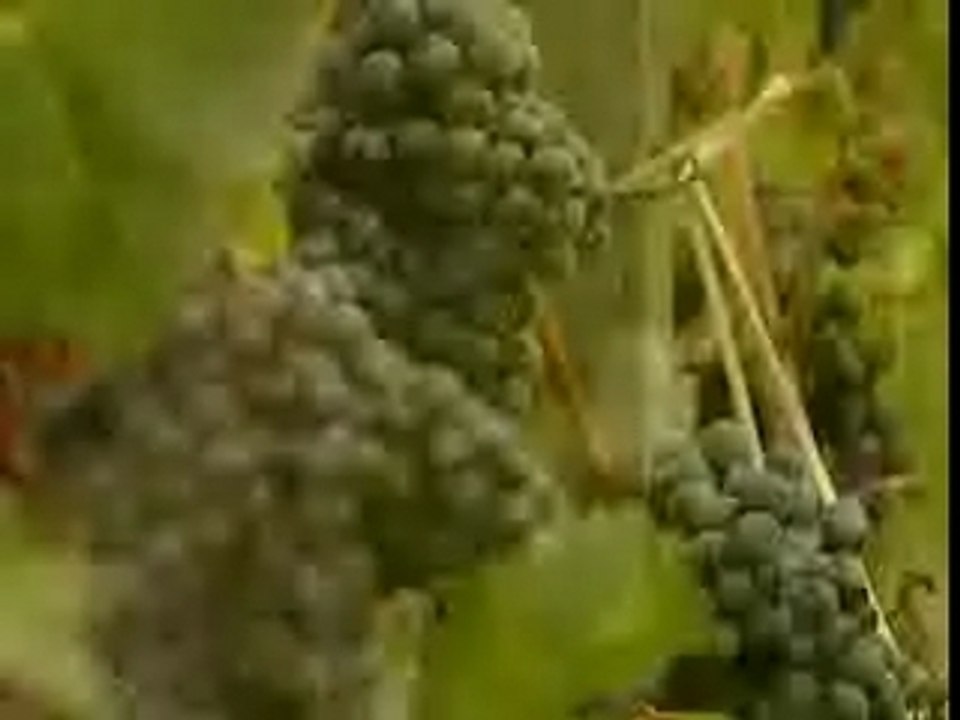 Usb wine.