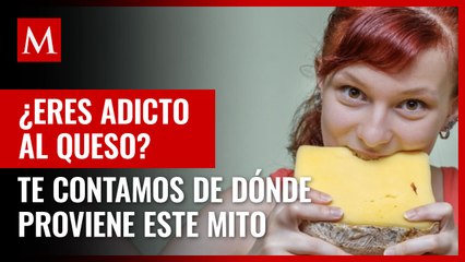 Oaxaca, panela, cotija... ¿Es el queso un alimento adictivo? Expertos te lo cuentan