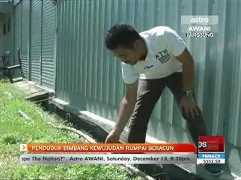 Penduduk bimbang kewujudan rumpai beracun