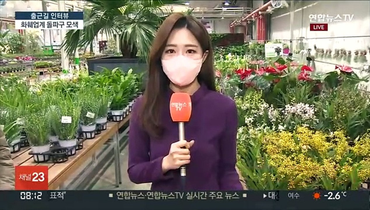 [출근길 인터뷰] 졸업·입학 특수 사라진 화훼업계 돌파구는?
