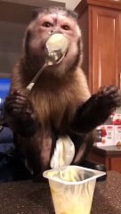 Dessert my sister left me a little bit and it’s soo yummy! Rice puddin make me schrong and put hair on my big toe