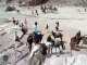 Behind picture postcard, life is tough for Petra's animals