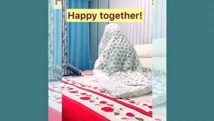 TIKTOK THÚ CƯNG - NHỮNG KHOẢNH KHẮC CỰC CUTE VÀ HÀI HƯỚC CỦA THÚ CƯNG 2020