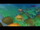 Le Monde de Nemo online multiplayer - ngc