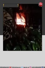 अनूपपुर। भारतीय स्टेट बैंक शाखा कोतमा कॉलरी में लगी आग