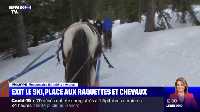 En Haute-Savoie, les stations de ski diversifient leurs offres pour attirer les vacanciers