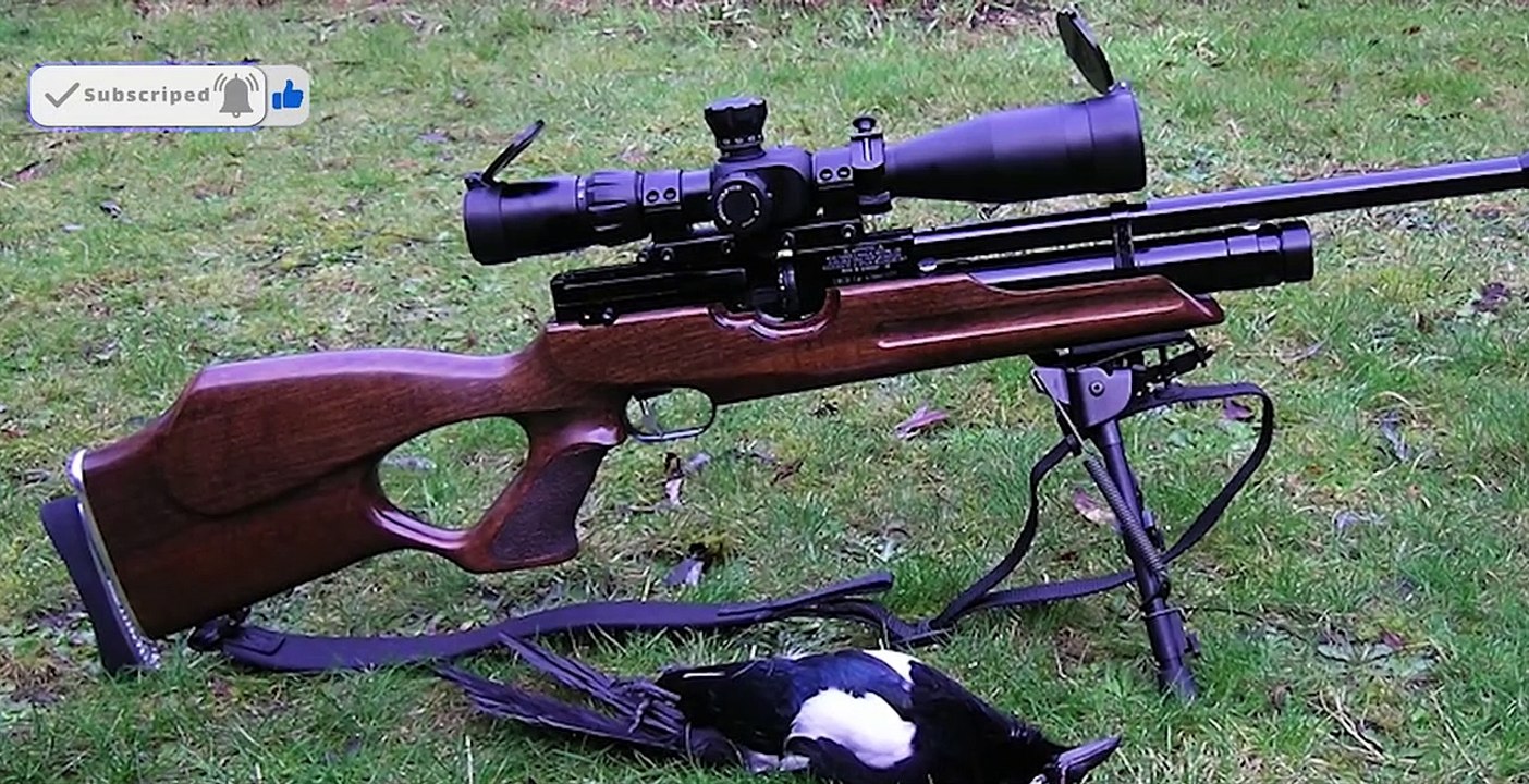 PCP Weihrauch 100 T FSB rifle made in Germany