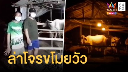 ชาวบ้านโวย โจรขโมยวัวอาละวาด หายนับ 10 ตัว | ข่าวเที่ยงอมรินทร์ | 21 ก.พ.65