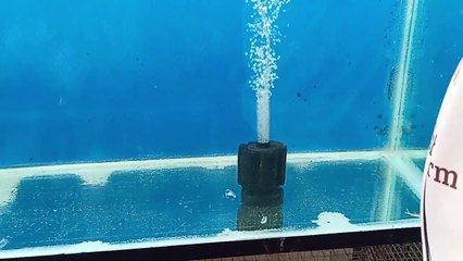 மீன் தொட்டி இனி அழுக்கே ஆகாது | Sponge filter pro for your Aquarium | Vedha Fish Farm