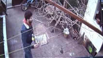 Ataşehir'de elleri cebinde hırsız, muhabbet kuşunu böyle çaldı