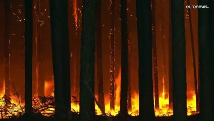 Incendios en Argentina | A pesar de la lluvia aún hay 8 focos activos