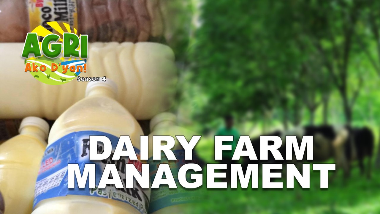 Dairy Farm Management video Dailymotion