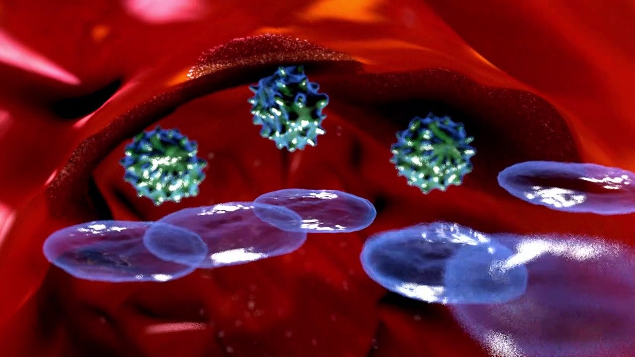 Vaccination et système immunitaire