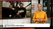 Regnbueæg går viralt | Æg fra Haslev går viralt | Janus Berg | Kåre Stigel | Olstrup | Faxe | 17-02-2022 | TV2 ØST @ TV2 Danmark