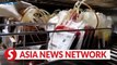 VIETNAM NEWS | Major hospitals call for blood donation