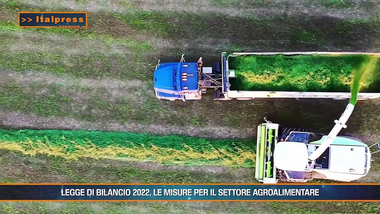 Agrifood Magazine - 1/12/2021