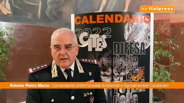 Carabinieri, le specie protette nel calendario Cites