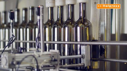 Oleoturismo nuova frontiera del turismo enogastronomico