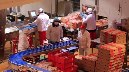 Bce "Nel 2022 vigoroso recupero per la crescita"