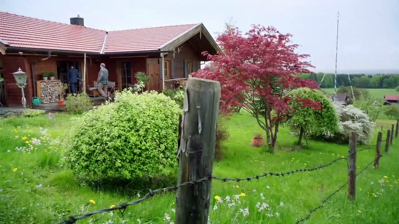 Die Rosenheim-Cops (279) Staffel 13 Folge 13 - Dabei sein ist alles