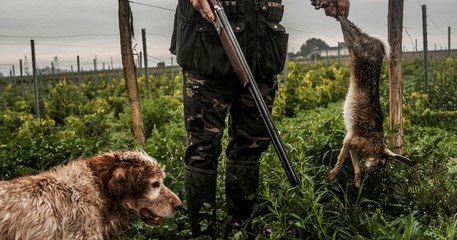 L'interdiction de la chasse le mercredi et le week-end réclamée par la gauche après l'accident dans le Cantal