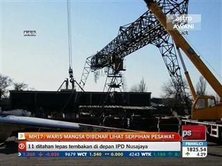 MH17: Waris mangsa dibenar lihat serpihan pesawat