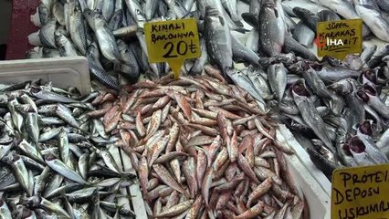 Balık satıcısına ucuz, vatandaşa pahalı geldi