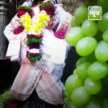 Watch This Exquisite Decoration With Grapes At Shri Vitthal Rukmini Temple In Pandharpur