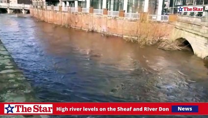 High river levels on the Sheaf and River Don