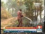 Hutan gambut terbakar akibat pembakaran terbuka