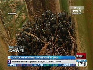 Corporate earnings to rebound in 2015