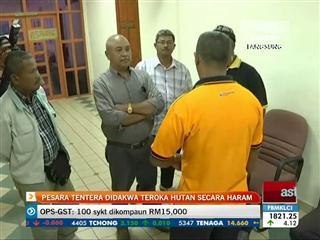 Pesara tentera didakwa teroka hutan secara haram