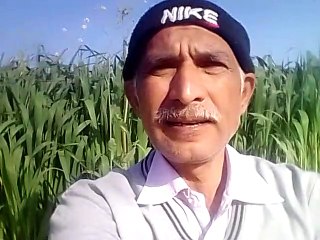 काले कुत्ते की सवारी भाग गया सनीचर जो था भाग भारी।