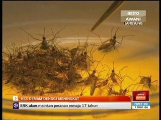 Kes demam denggi meningkat 23,630