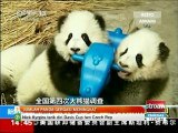 Jumlah panda gergasi meningkat