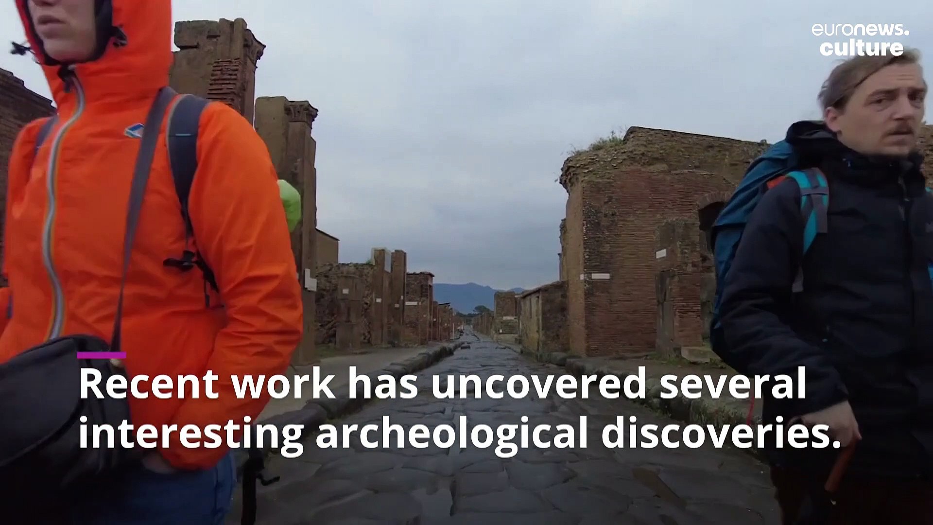 ⁣Pompeii's excavation uncovers 'duck and snails' fast food shop