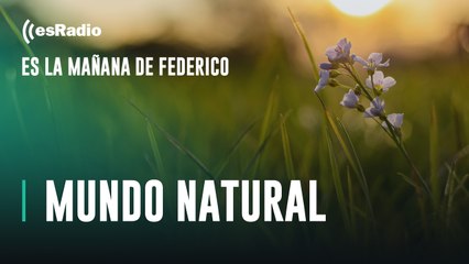 Mundo Natural: Dormir bien es necesario para la salud