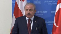 TBMM Başkanı Şentop: Türkiye-Gürcistan ilişkileri üst düzeyde devam ediyor