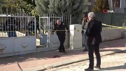 Dedelerin husumeti kanlı bitti