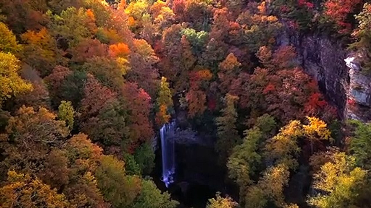 yt5s.com-Relaxing satisfying nature video