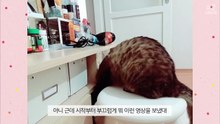 [심쿵내새끼]옷걸이와 싸우는 1살의 나