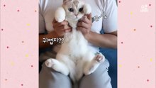 [심쿵내새끼] 어느날 갑자기 동생이 나타났다