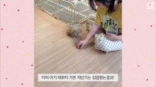 [심쿵내새끼] 호두의 개인기에 호며들었다....!!!!!!