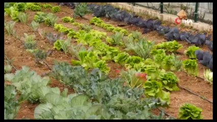 Otizmli çocuklar ektikleri ürünlerin hasadını yaptı