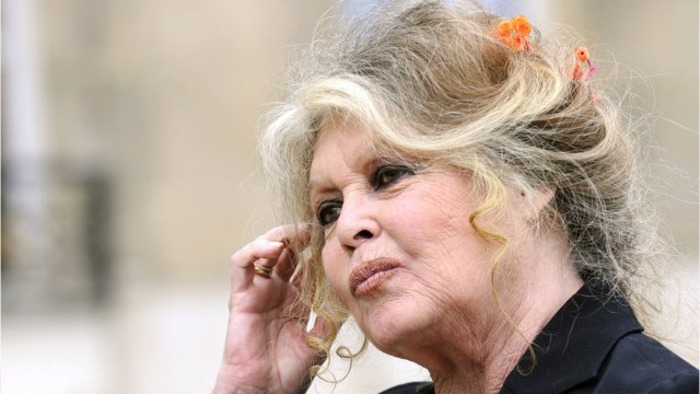 FEMME ACTUELLE - Un cœur sec et indifférent : choquée par Eric Zemmour, Brigitte Bardot lui adresse un message cinglant !