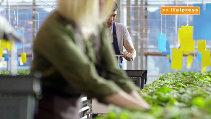 Le imprese familiari e la sfida del ricambio generazionale